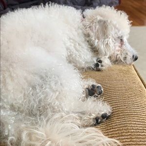 Meet your Posher, Thao